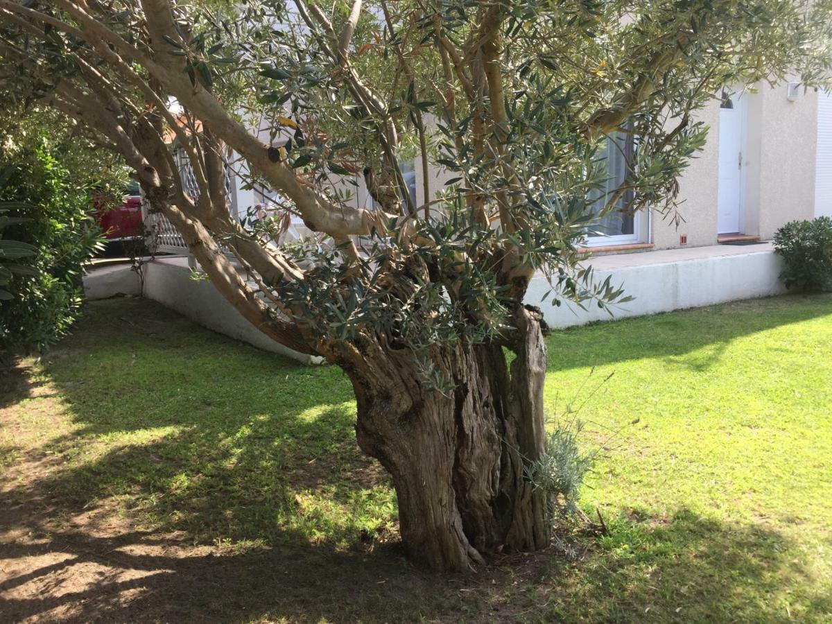 سان سيبريان La Maison De Virginie المظهر الخارجي الصورة